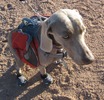 photo thumbnail #3