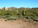 photo thumbnail #5