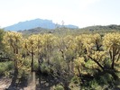 photo thumbnail #15