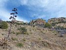 photo thumbnail #10