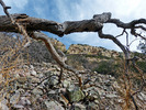 photo thumbnail #13
