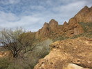 photo thumbnail #15