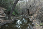 photo thumbnail #13