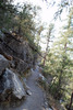 photo thumbnail #7