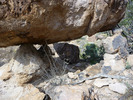 photo thumbnail #5