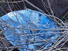 photo thumbnail #7