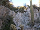 photo thumbnail #5