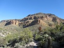 photo thumbnail #3