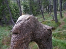 photo thumbnail #1