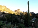photo thumbnail #8