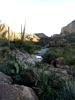 photo thumbnail #9