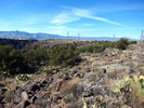 photo thumbnail #3