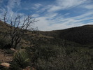 photo thumbnail #7