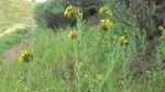 photo thumbnail #14