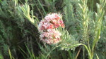 photo thumbnail #15