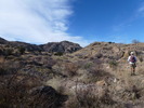 photo thumbnail #7