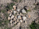 photo thumbnail #9
