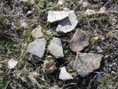 photo thumbnail #10
