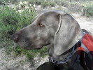 photo thumbnail #15