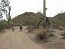 photo thumbnail #7