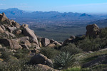 photo thumbnail #4