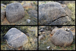 photo thumbnail #11