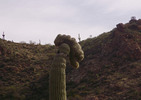 photo thumbnail #14