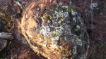 photo thumbnail #3