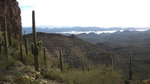 photo thumbnail #7