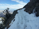 photo thumbnail #7