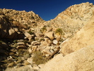 photo thumbnail #7