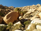 photo thumbnail #8