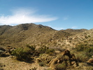 photo thumbnail #13