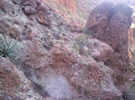 photo thumbnail #11