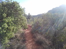 photo thumbnail #12
