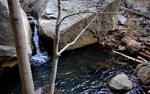 photo thumbnail #7