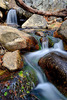 photo thumbnail #14