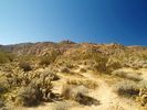 photo thumbnail #2