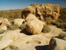 photo thumbnail #9