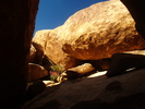 photo thumbnail #10