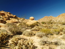 photo thumbnail #12