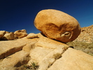 photo thumbnail #13