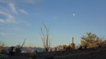 photo thumbnail #3
