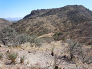 photo thumbnail #8