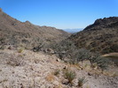photo thumbnail #9