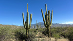 photo thumbnail #11