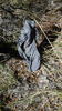 photo thumbnail #14
