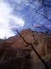 photo thumbnail #15