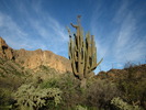 photo thumbnail #6