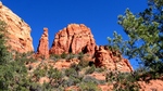 photo thumbnail #4